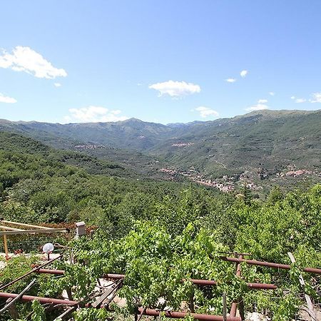Agriturismo Nonni Devia Lucinasco Exterior photo